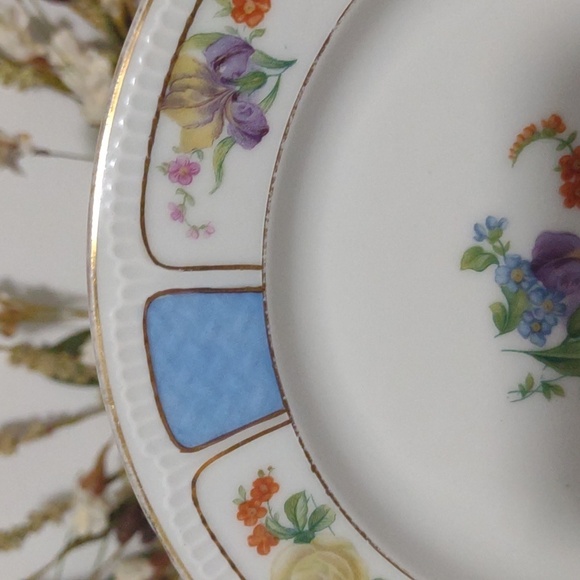 Antique Haas & Czjzek H.C. Schlaggenwald Black Knight Plate Gold Trim - Picture 10 of 11